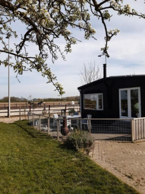 Гостиница Bed en Breakfast Bernisse  Zuidland